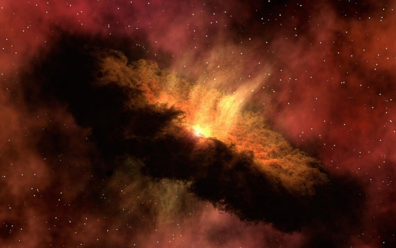 Cosmic Organisms