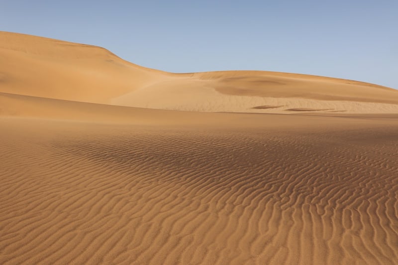 Desert Extremophile