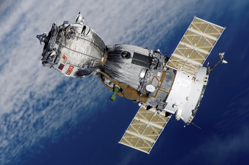Microbial Life in Space